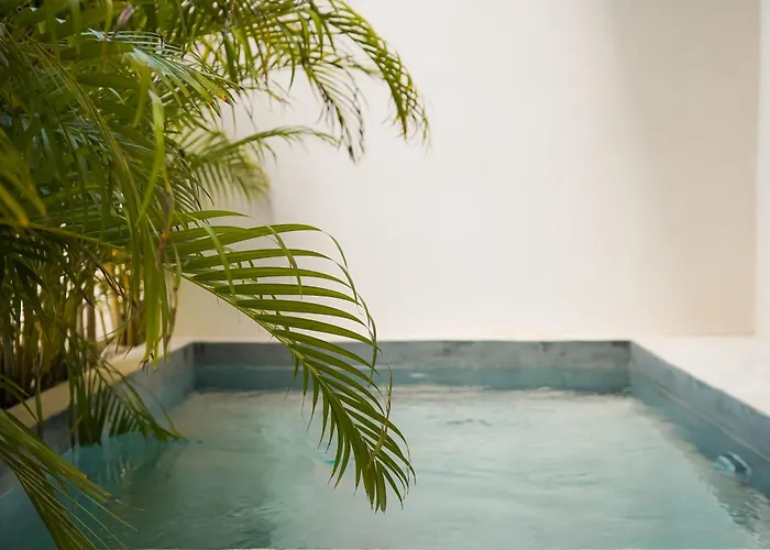 Otonomus Apartahotel *