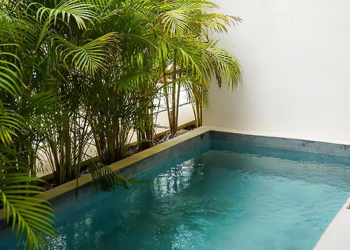 Otonomus * Tulum